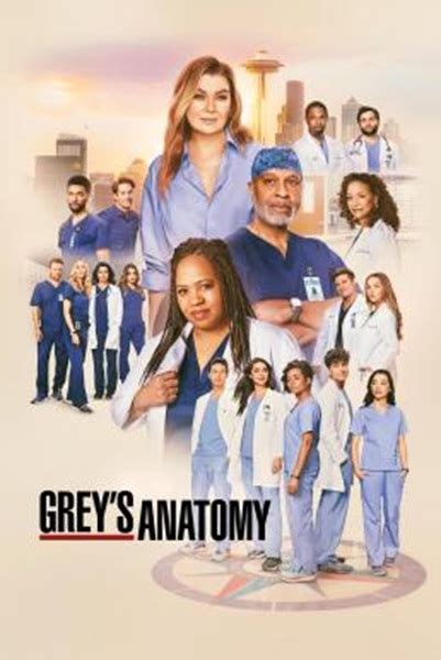 grey's anatomy พากย์ไทย|Grey's Anatomy แพทย์มือใหม่หัวใจเกินร้อย Season 20 (2024) .